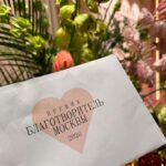 Знакомство с лошадьми — не только верхом